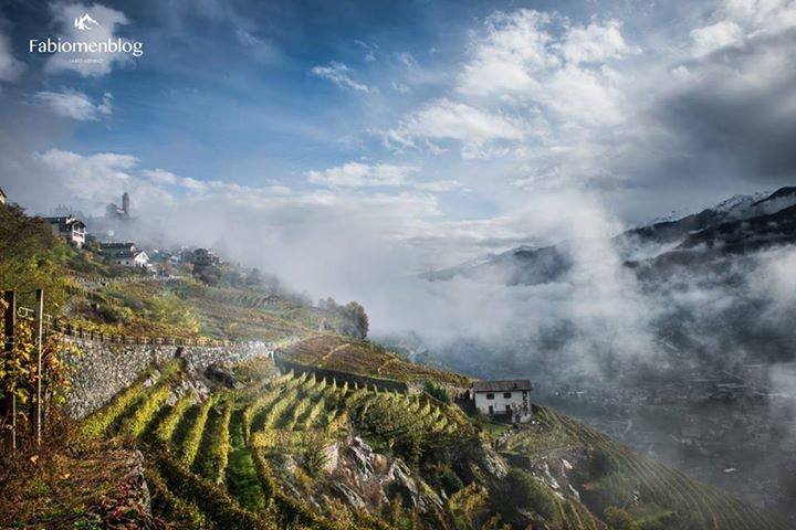 Valtellina wine holiday
