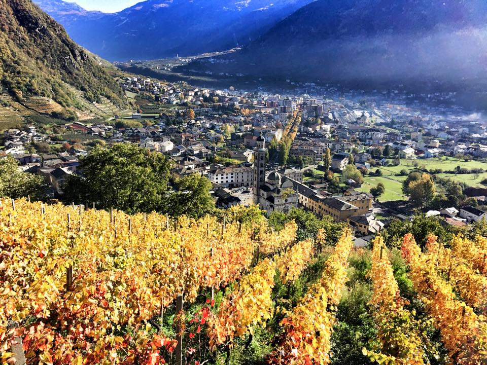 Wine Holidays With Kids! The Valtellina Vineyards