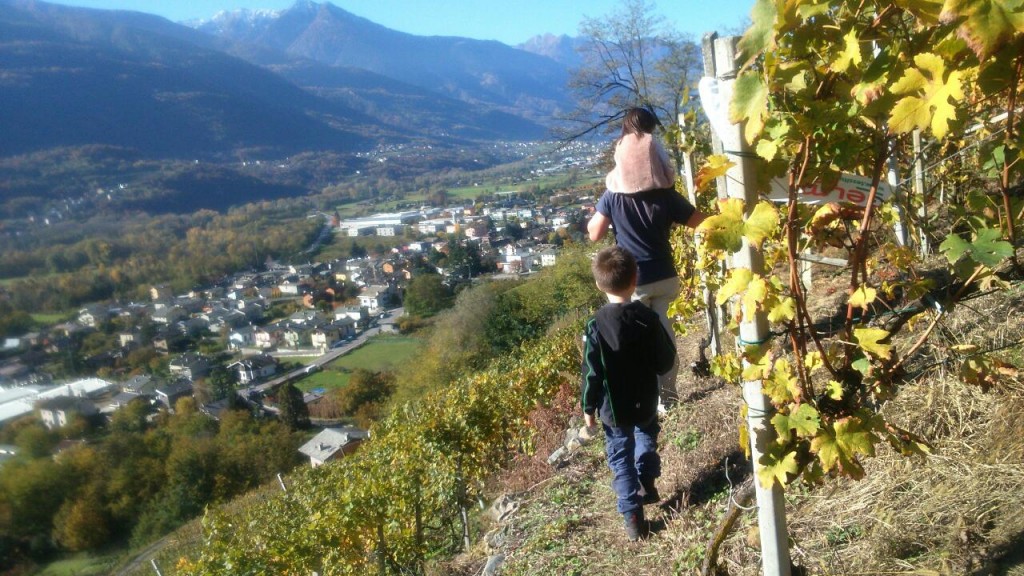 Valtellina wine trail